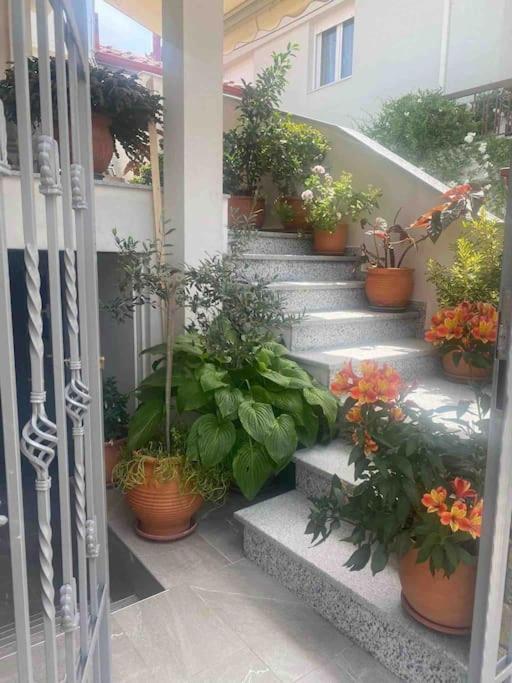 Lovely In Litoxoro Apartment *